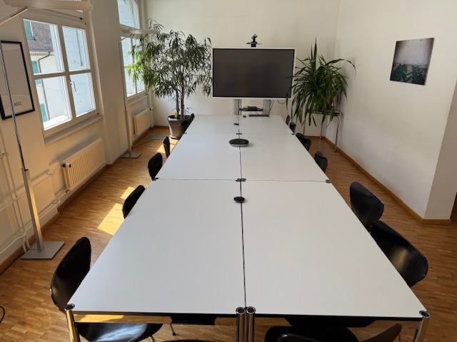 Konferenzraum mit Pflanzen und Monitor